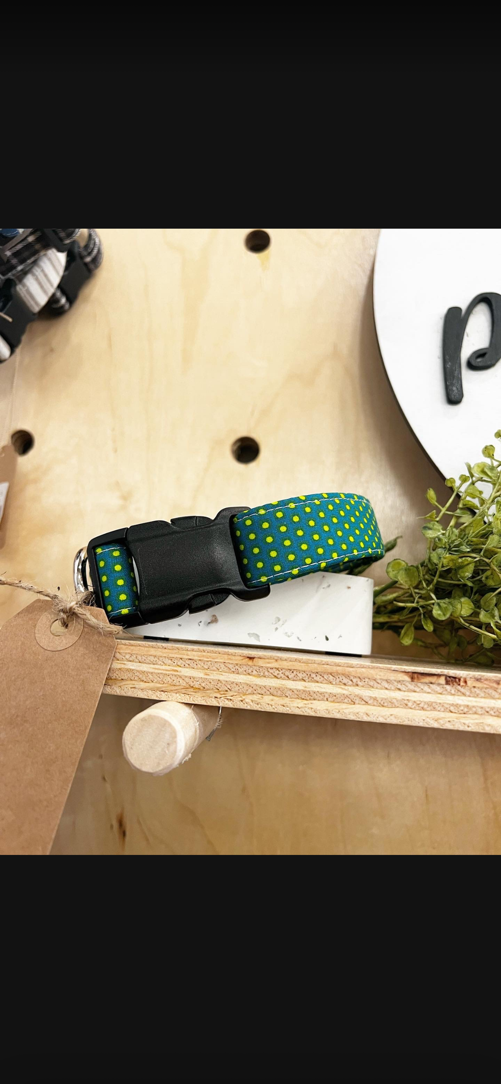 Dog Collars