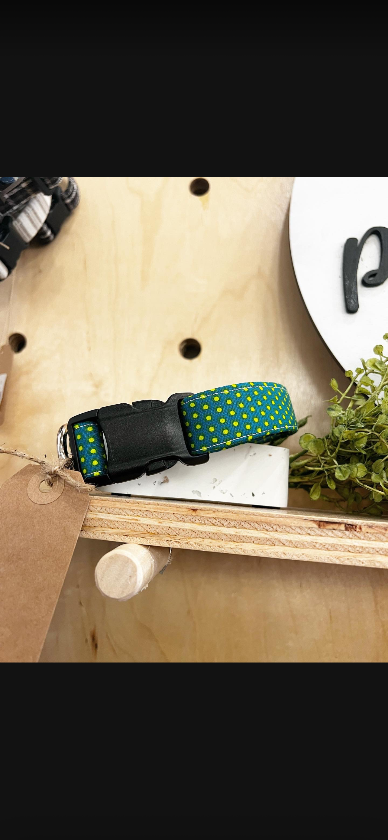 Dog Collars