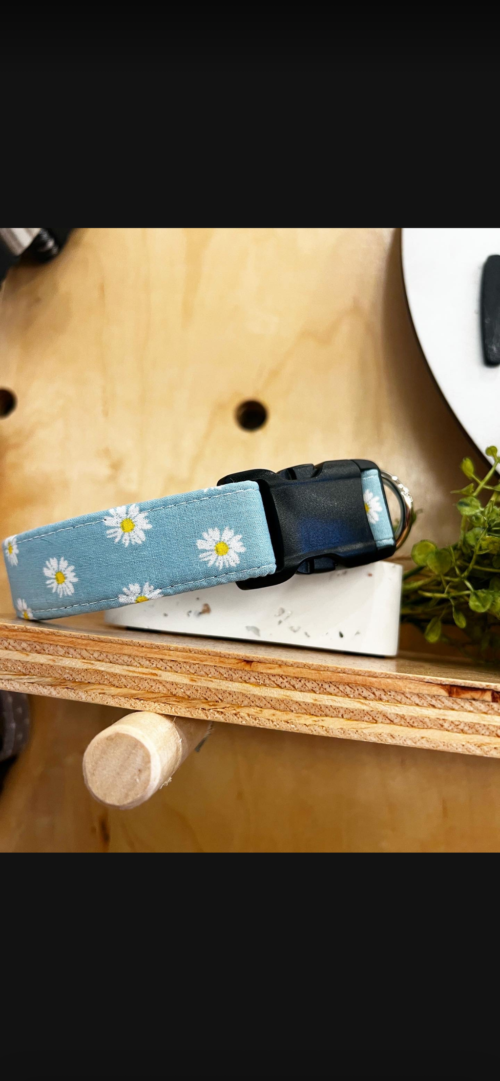 Dog Collars