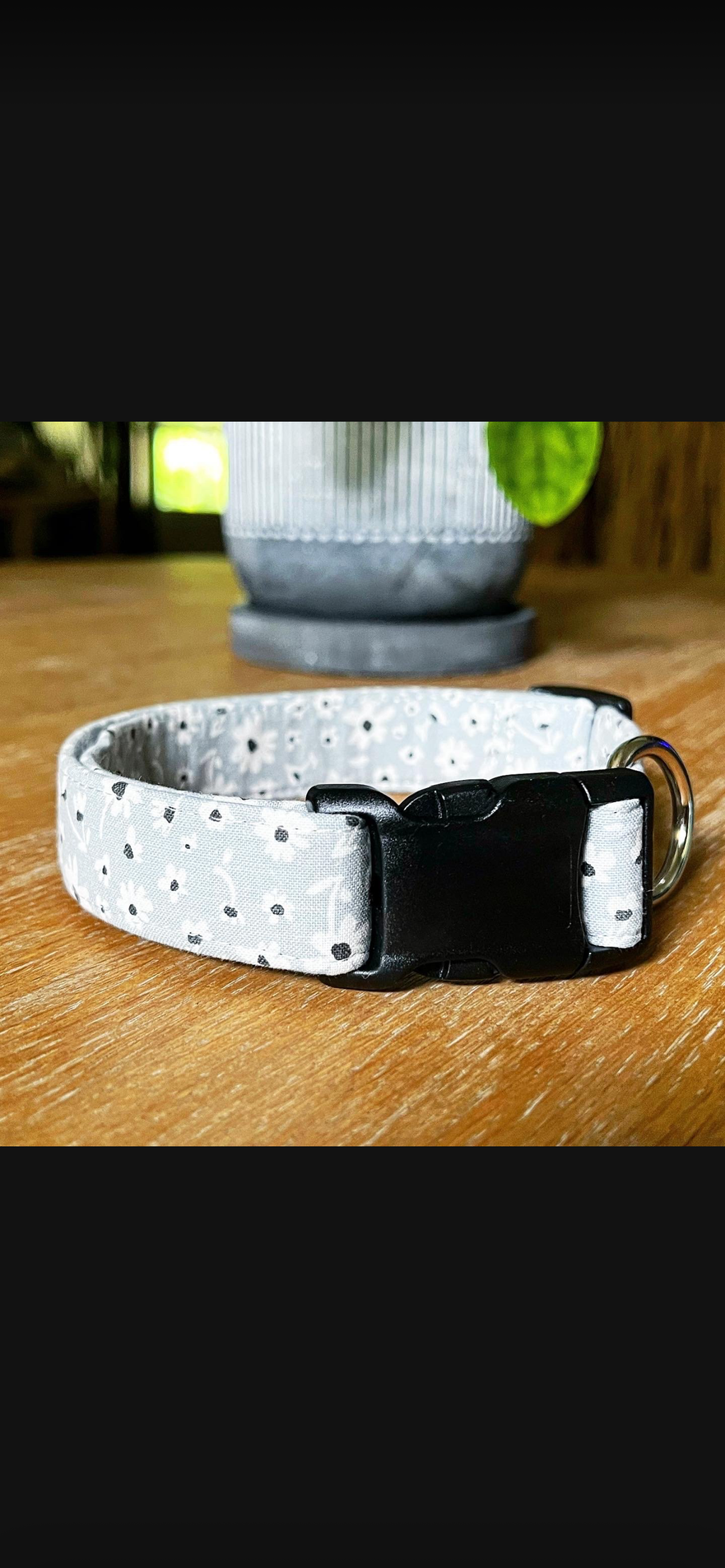 Dog Collars