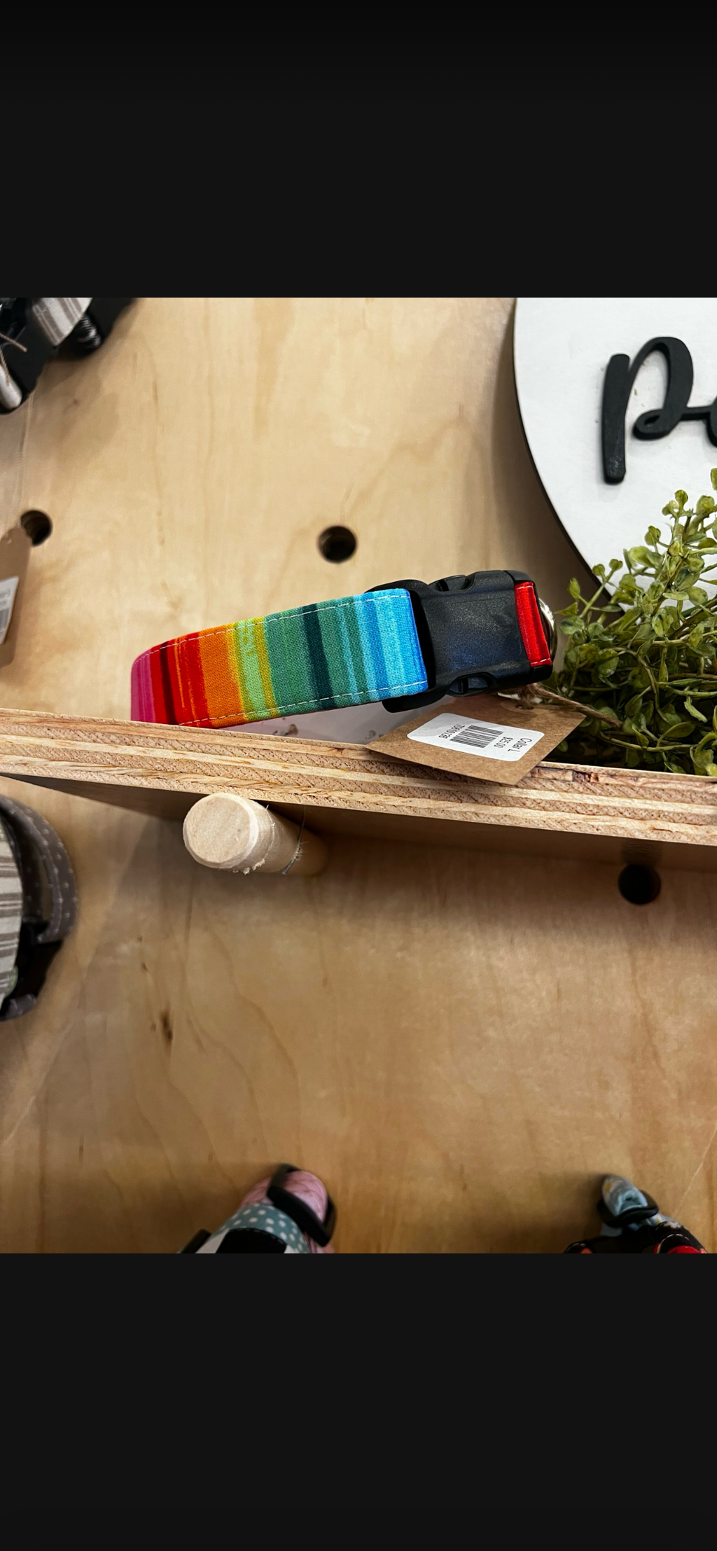 Dog Collars