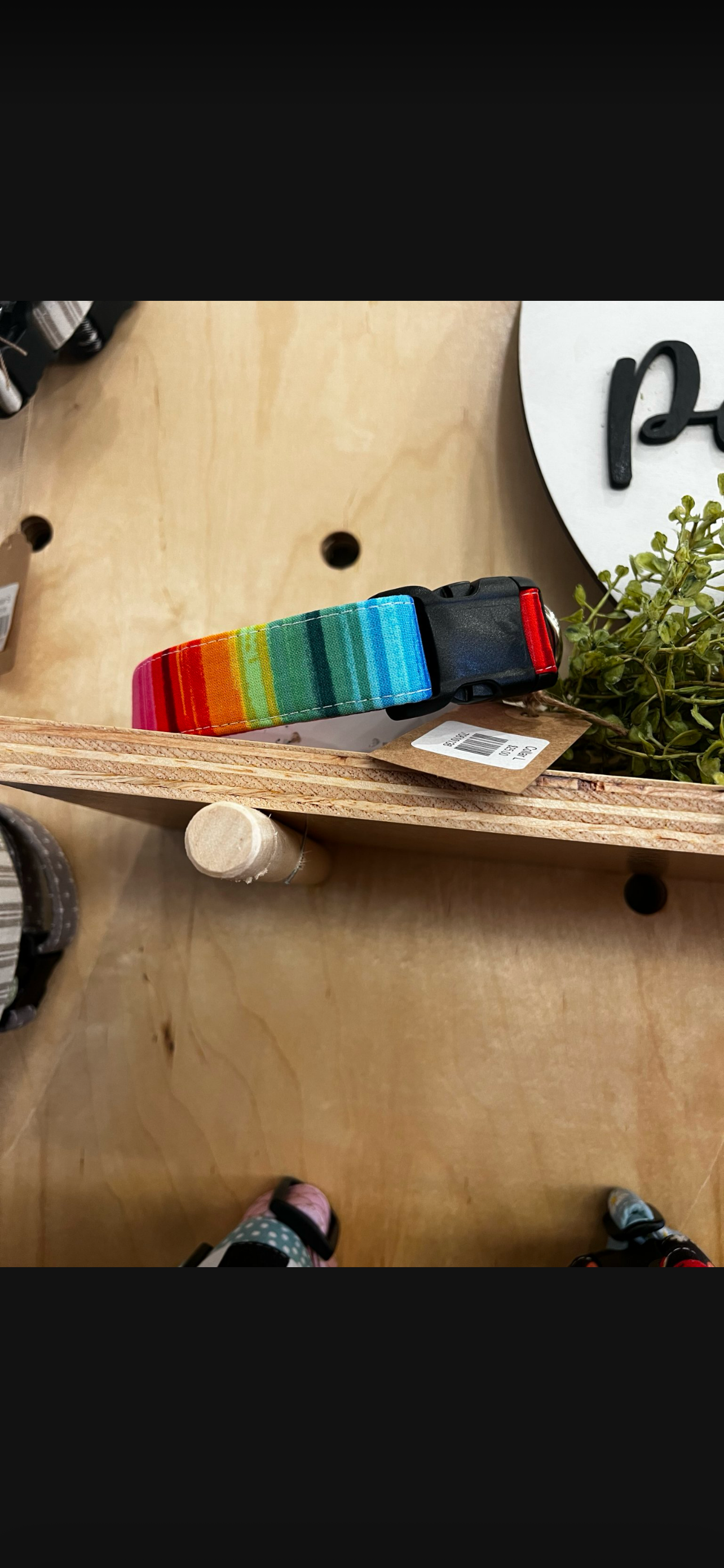 Dog Collars