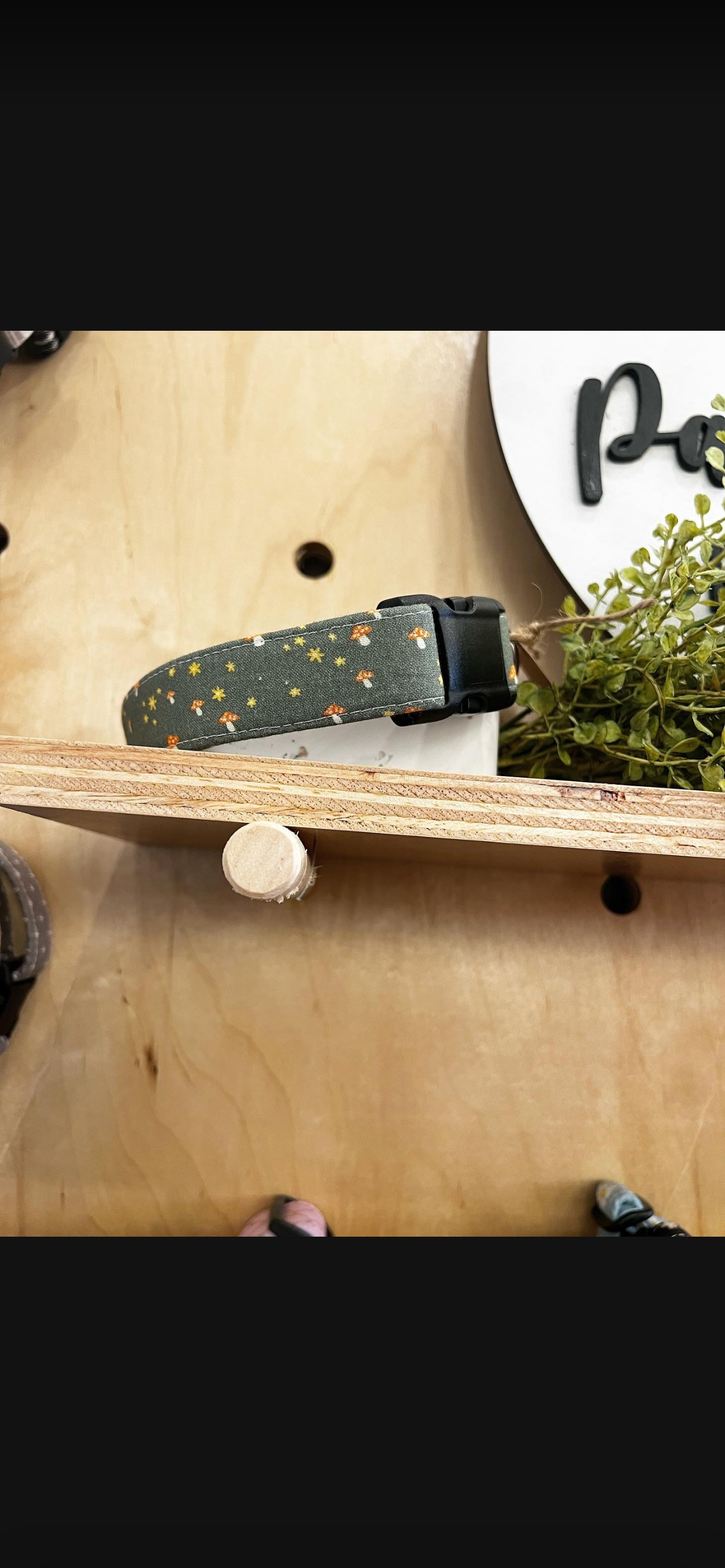Dog Collars