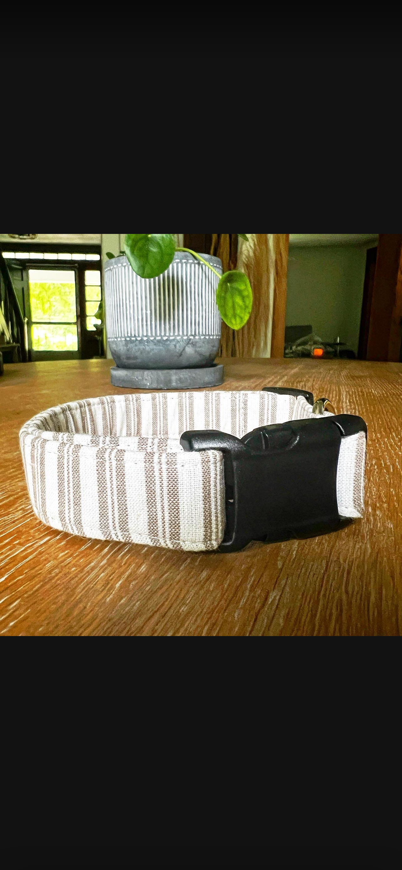 Dog Collars