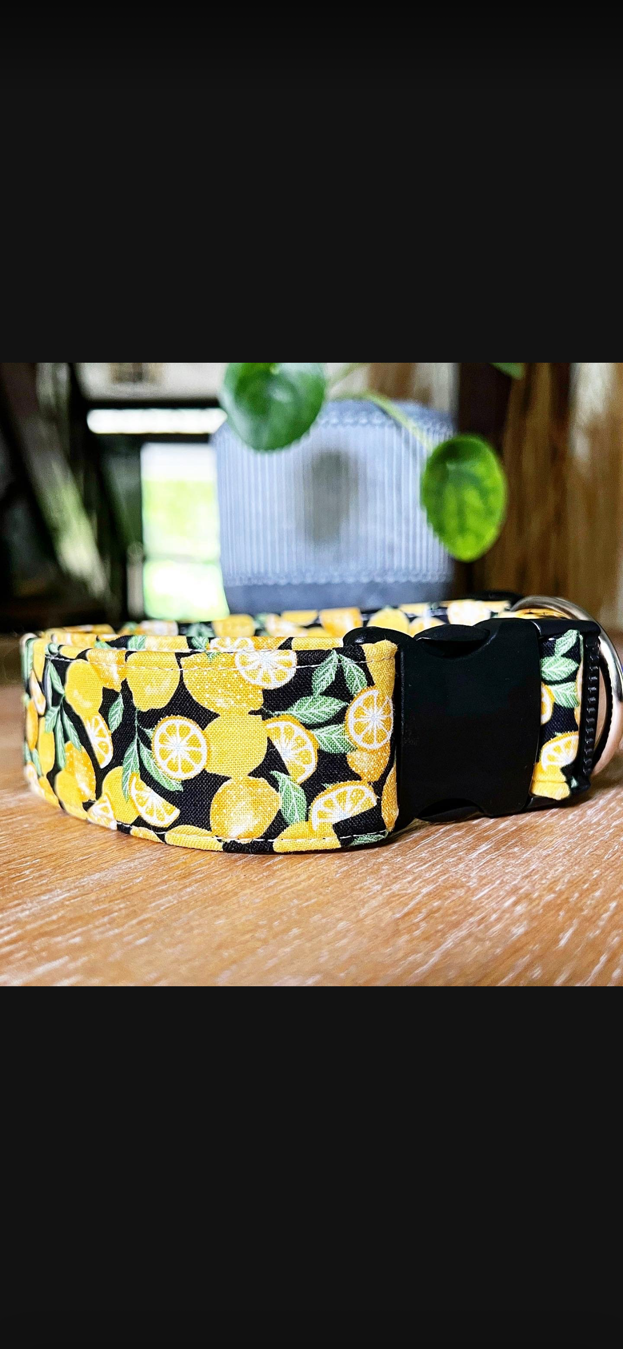 Dog Collars