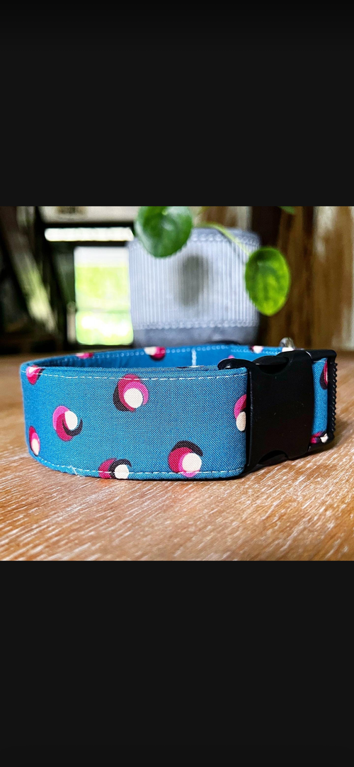 Dog Collars