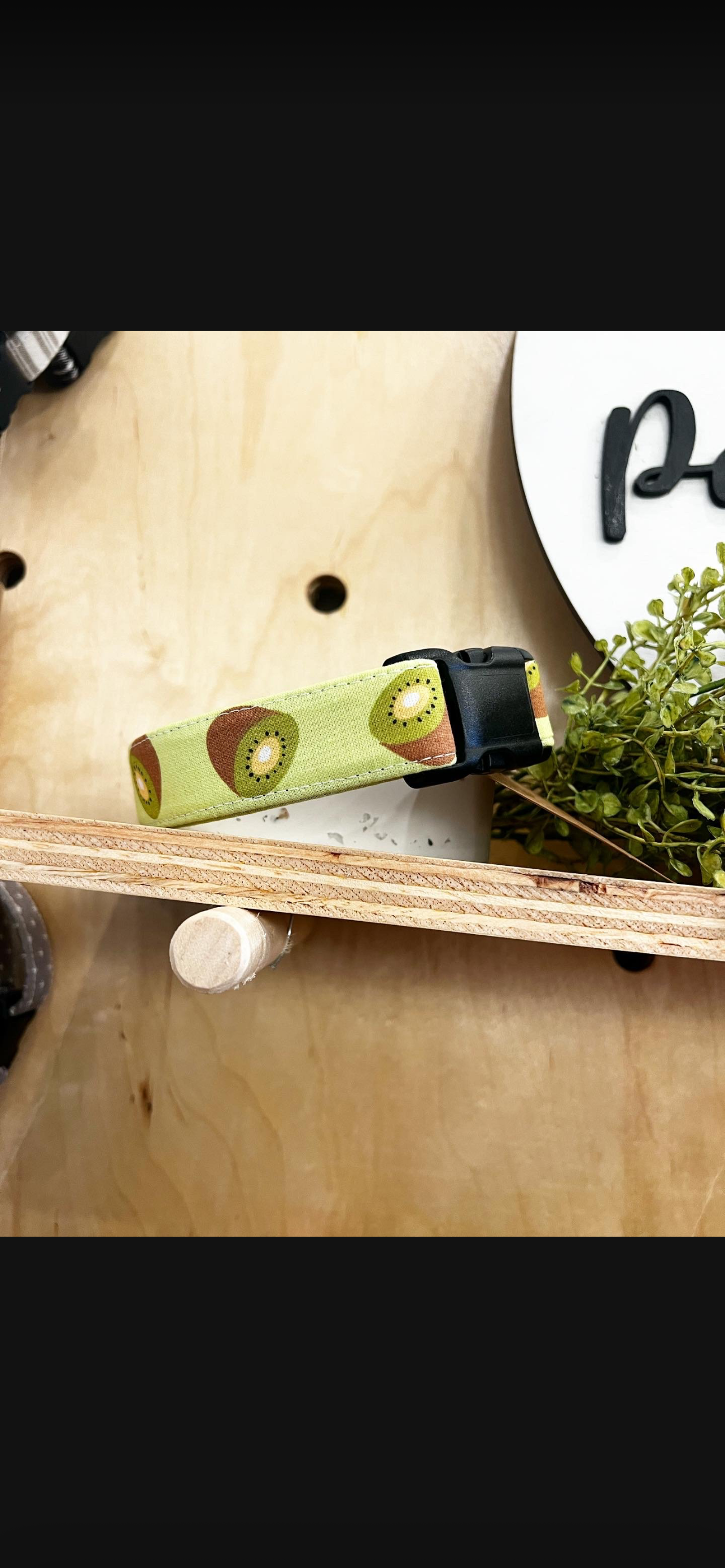 Dog Collars