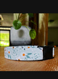Dog Collars