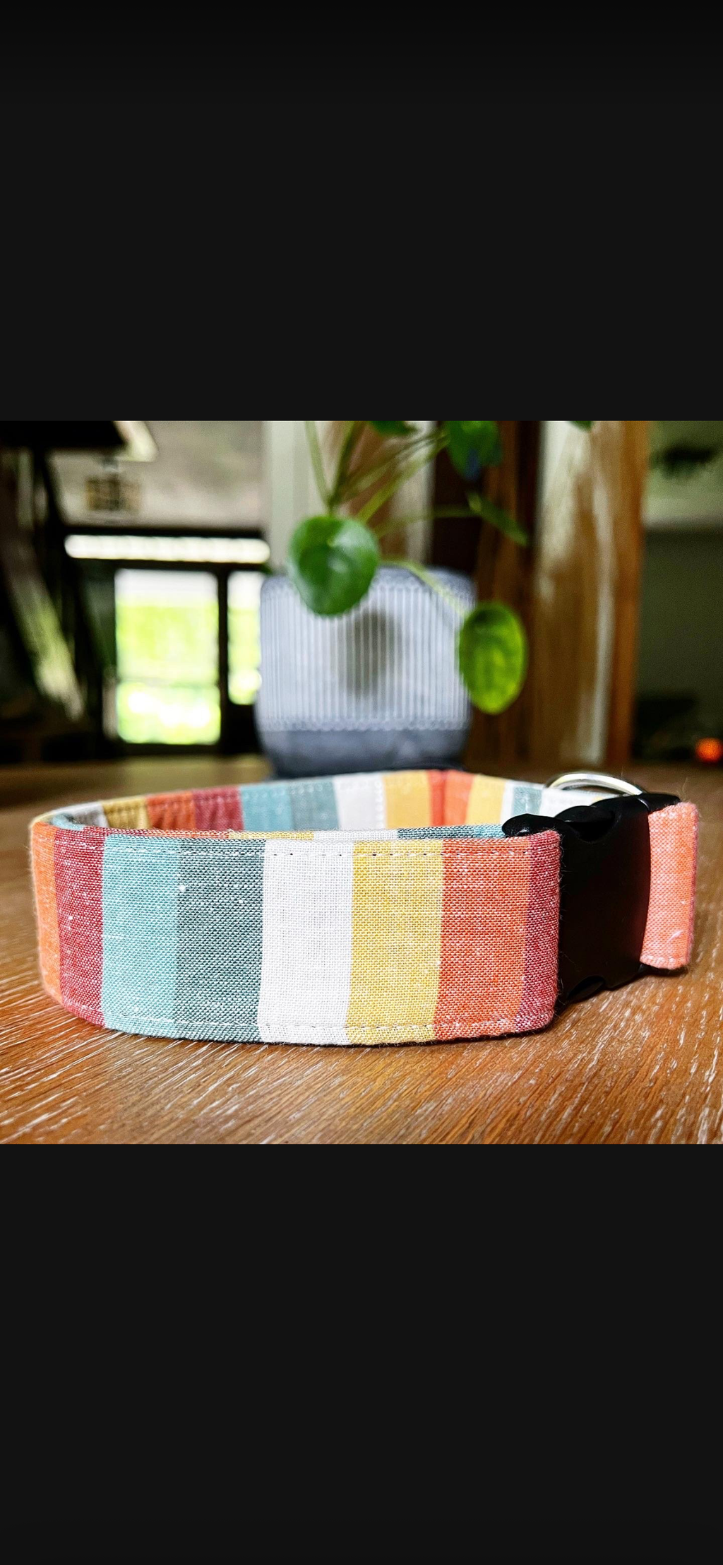 Dog Collars